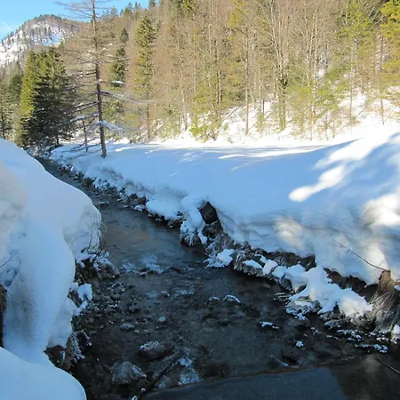 אורחן Schwaigeralm