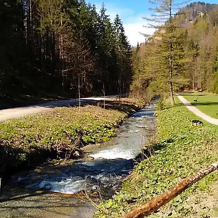 Schwaigeralm Kreuth